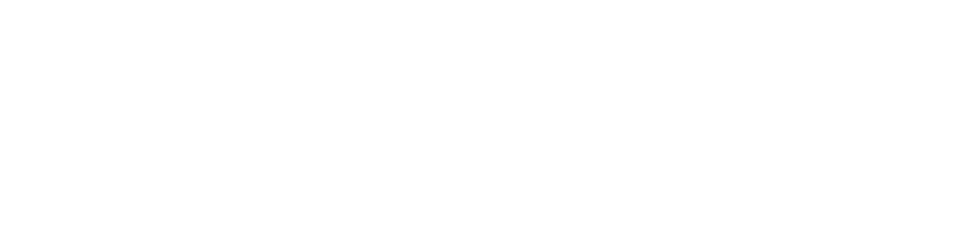 Magnify Cash
